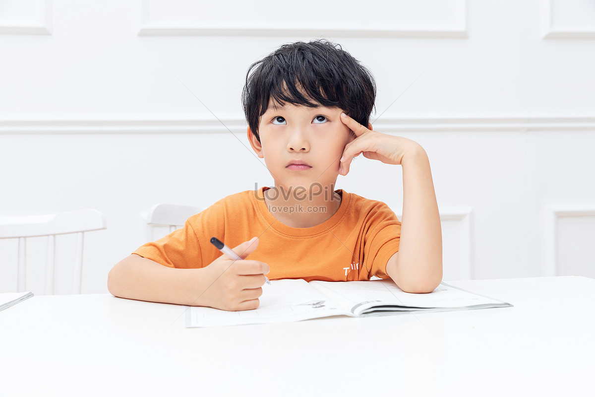 Children doing summer homework, homeschooling, and homework, school boys HD Photo