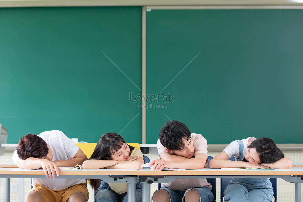 students studying in class