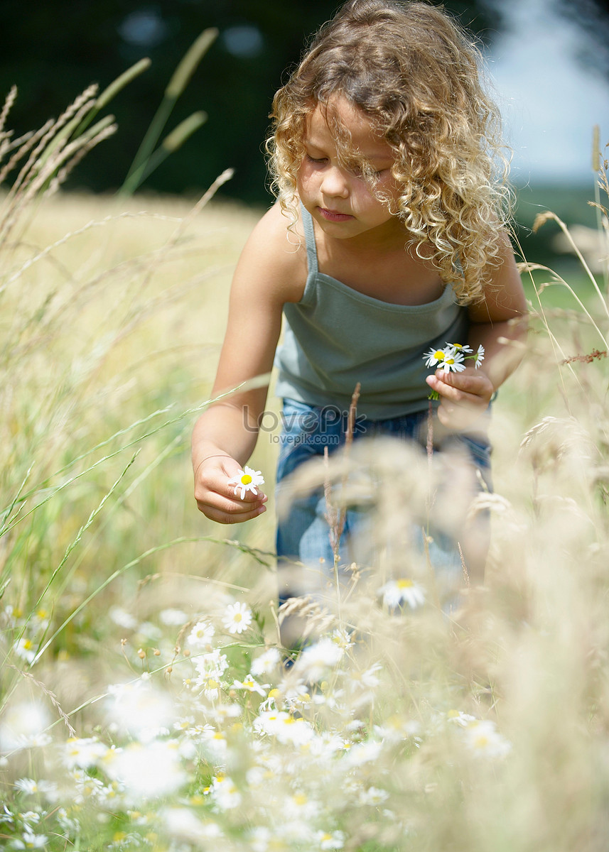 Маленькая девочка собирать цветы в поле изображение_Фото номер501443069_JPG Формат изображения_ru.lovepik.com