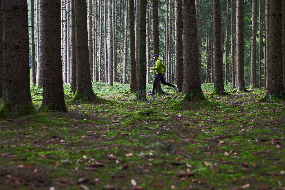 Lovepik   Lovepik Man Running In The Forest Picture 501454889 