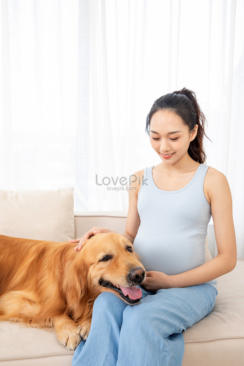 how long is a golden retrievers pregnancy