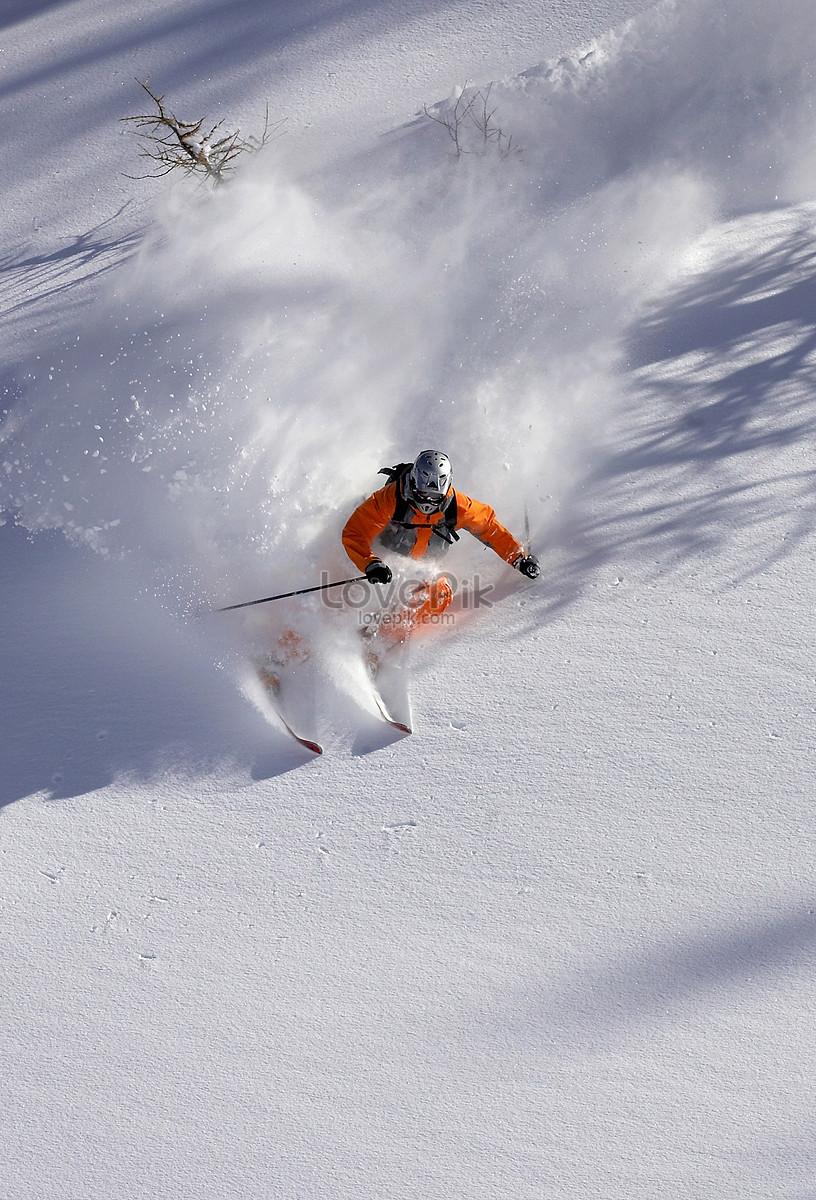 Ostrich Snow Skiing