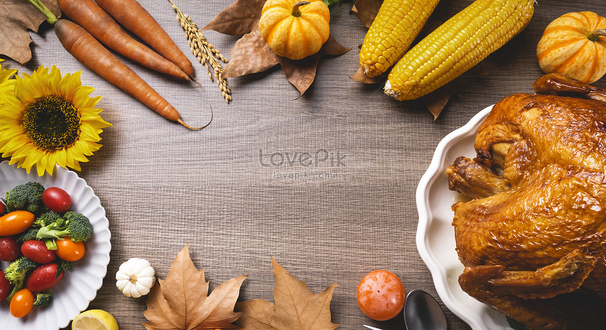 Thanksgiving Turkey Picture And HD Photos | Free Download On Lovepik