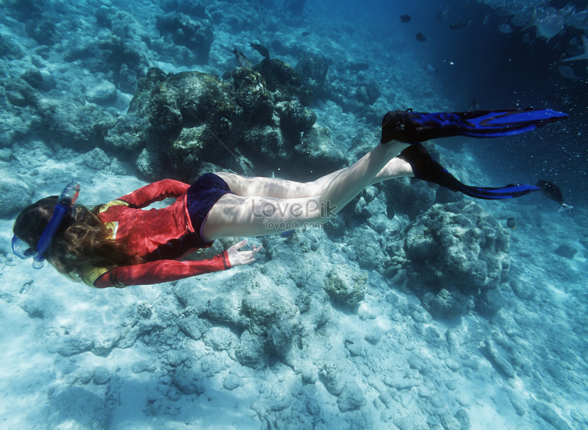 Underwater Shooting Of Girl Snorkeling Picture And Hd Photos Free Download On Lovepik 3730