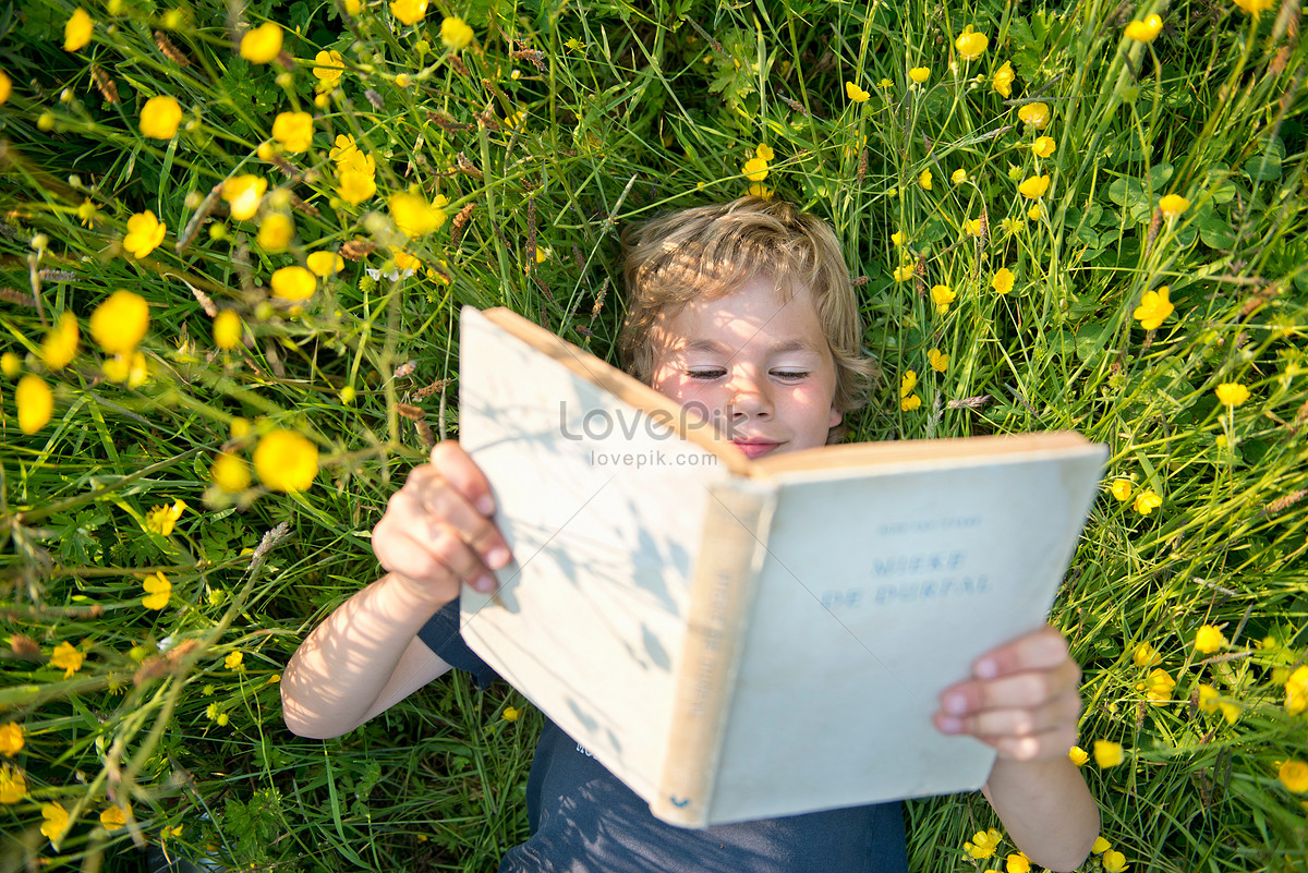 Дети читают книги на травке. Мальчик лежит на лужайке. Закрыто на лето книга. Название лето с книгой гиф.