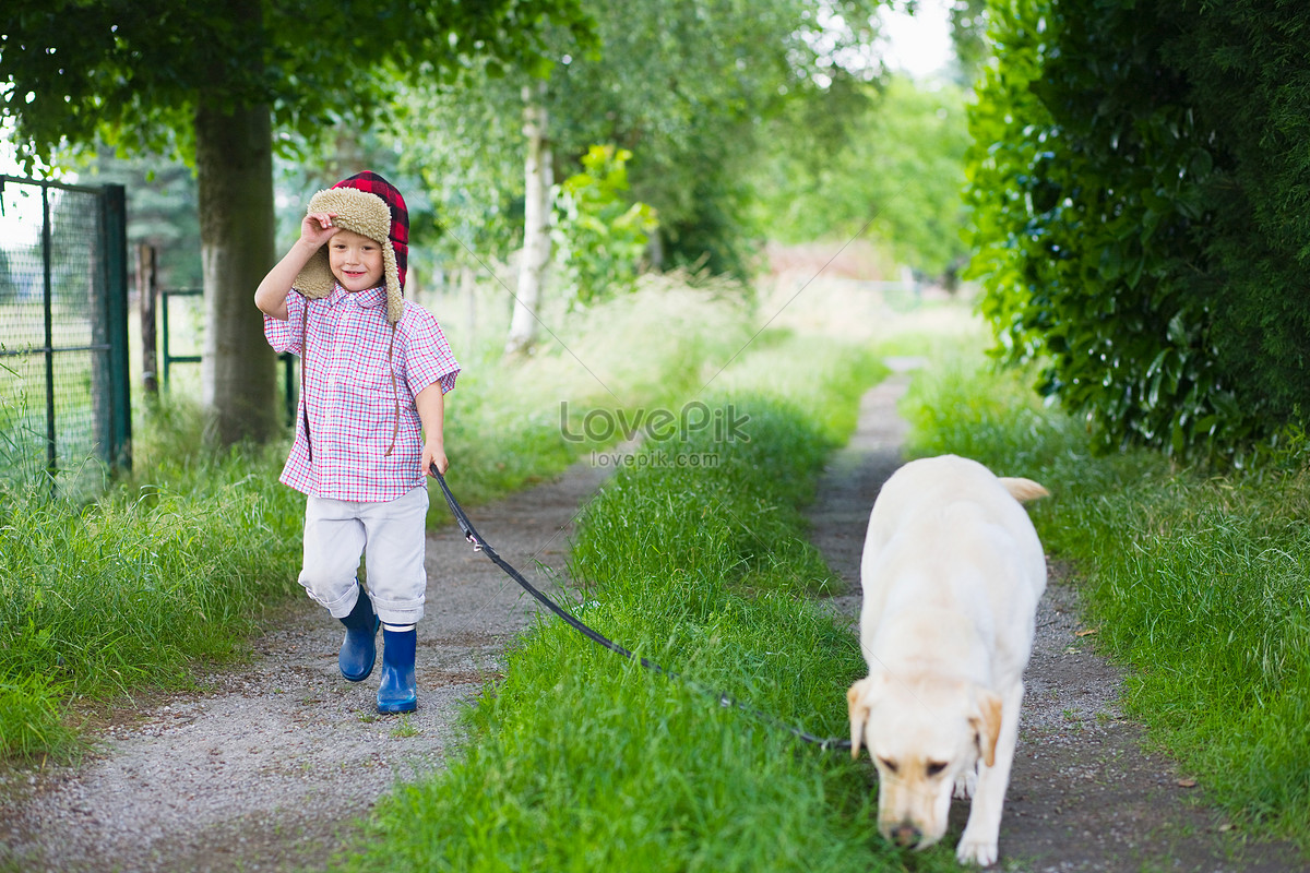 Cậu bé dắt chó, hình ảnh đáng yêu này sẽ khiến bạn cười nghiêng ngả và đưa bạn trở về thời điểm đáng nhớ của cuộc đời mình.