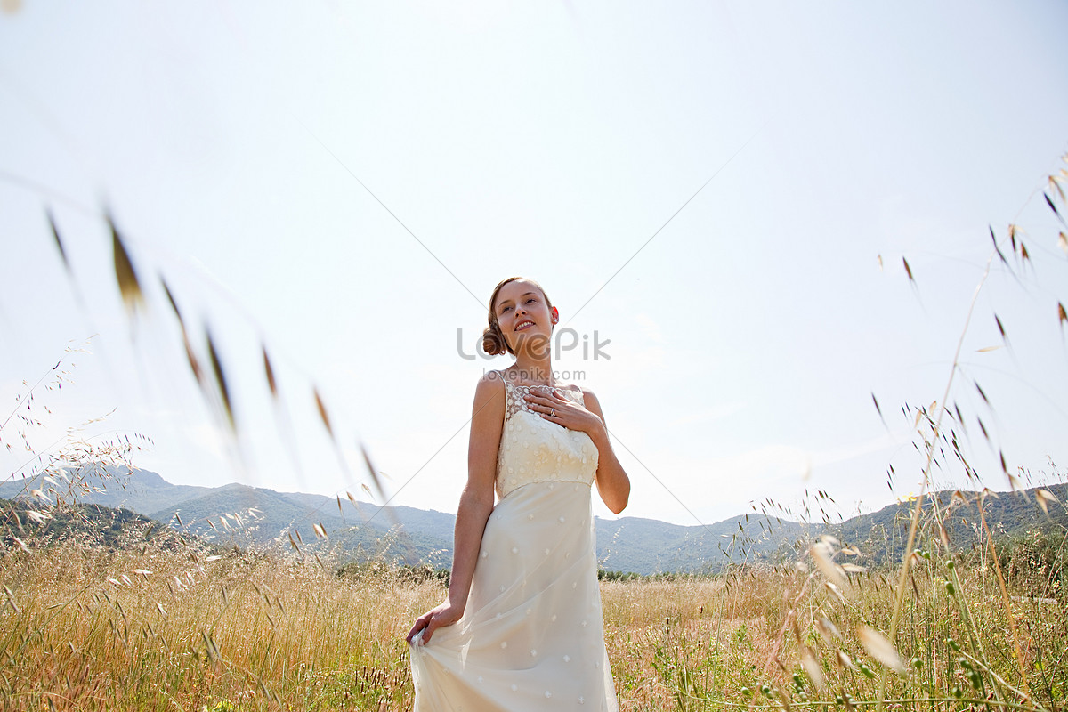 Wedding Dress PNG Image - Free Download