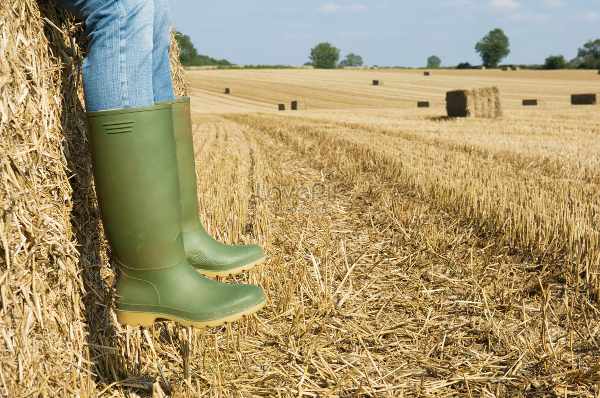 Field boots. Pulling of the Boots.