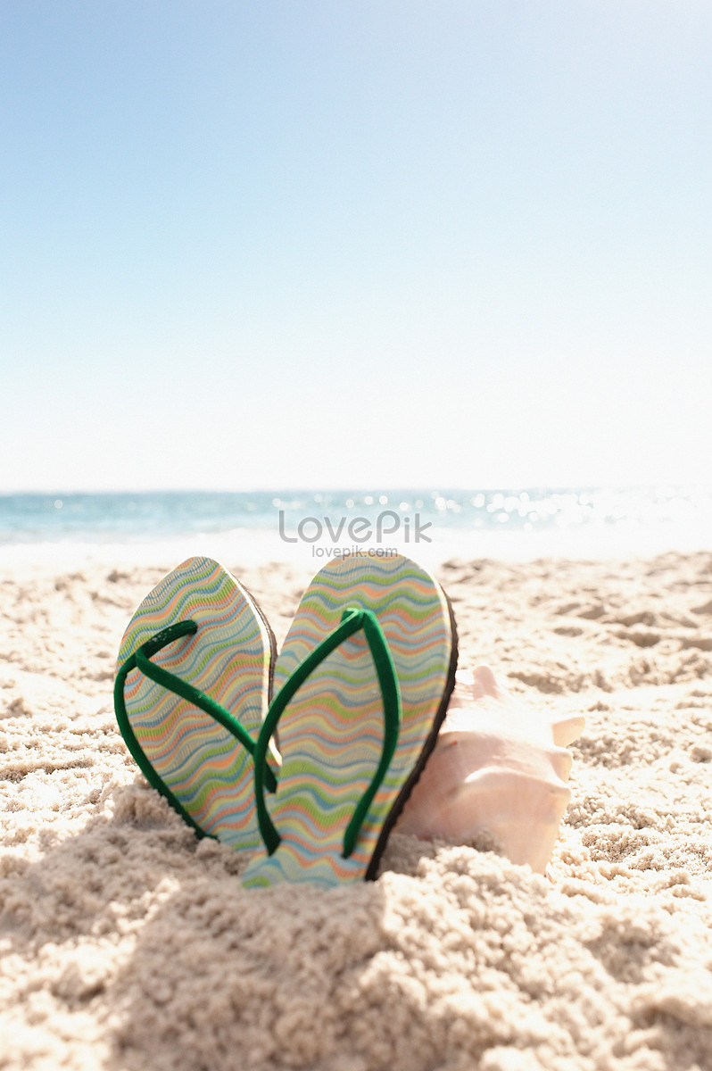 Flip-flops On The Beach Picture And HD Photos | Free Download On Lovepik