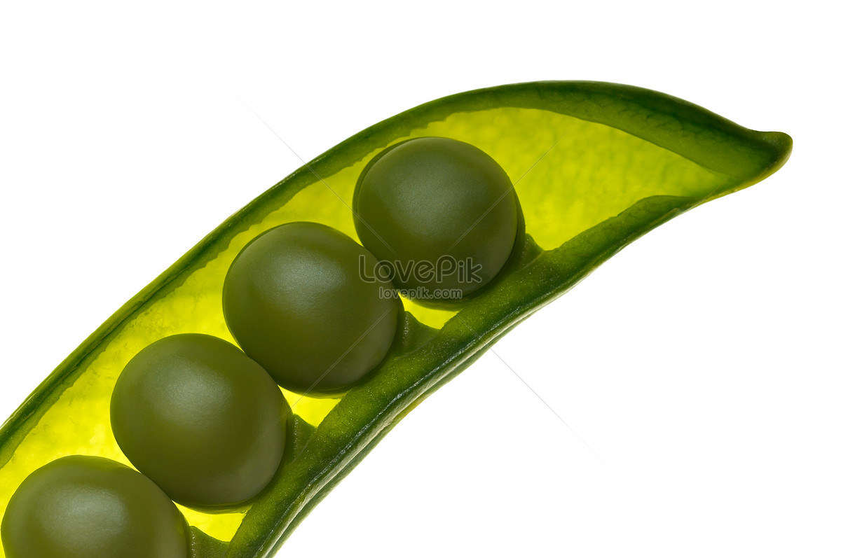 Four Peas In A Pod On White Picture And HD Photos | Free Download On ...