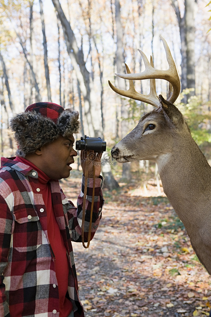 Photo de Hunter Face Au Cerf chasseur de cerf cerf de chasse