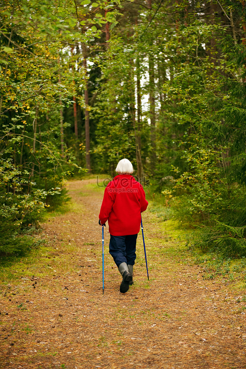 Old Woman Hiking In The Forest Picture And HD Photos