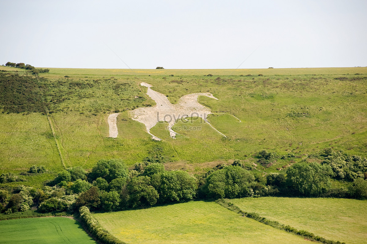 Меловой гигант Британия. Osmington White Horse. Меловая фигура на одном из полей в Англии на карте. The Chalk Hills Ireland.