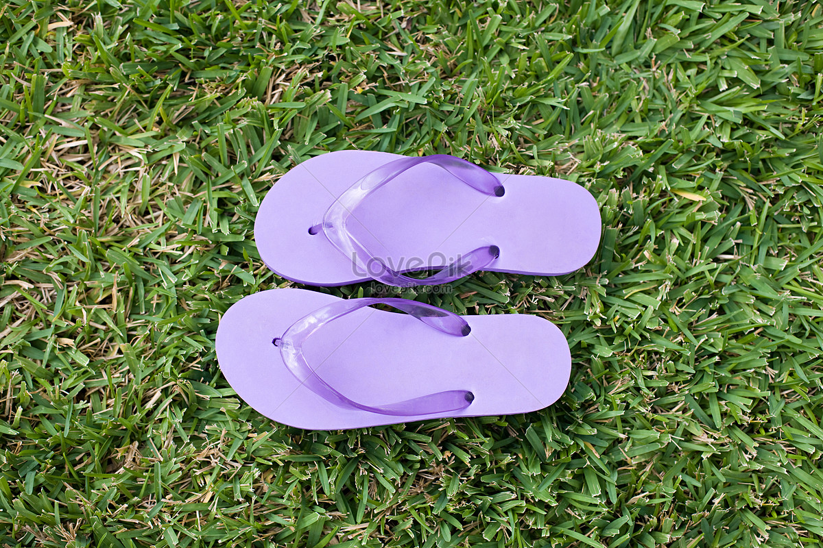Purple Flip-flops Picture And HD Photos | Free Download On Lovepik
