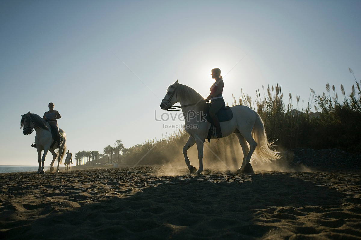 Três Mulheres Andando A Cavalo Na Praia Imagem Grátis_Foto Número  501459201_JPG Formato Imagem_pt.lovepik.com