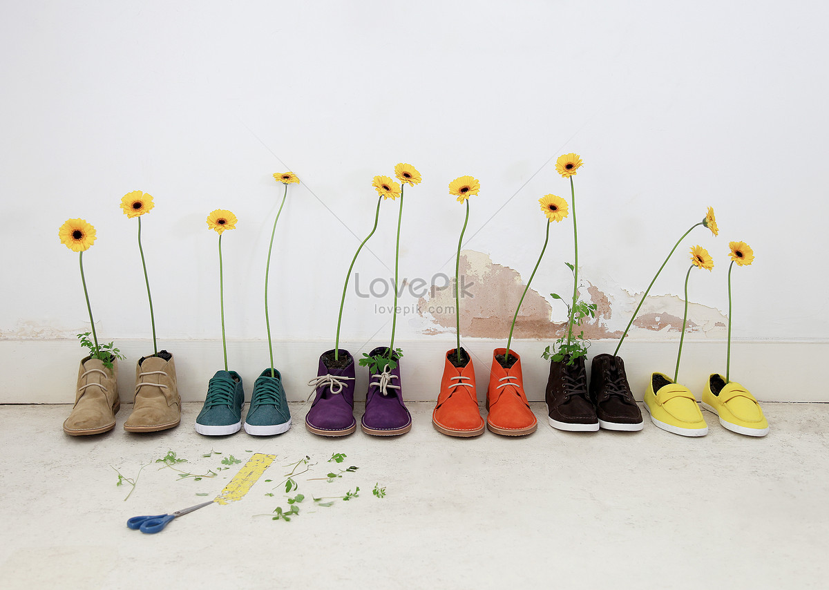 Una Hilera De Zapatos Con Flores Foto | Descarga Gratuita HD Imagen de Foto  - Lovepik