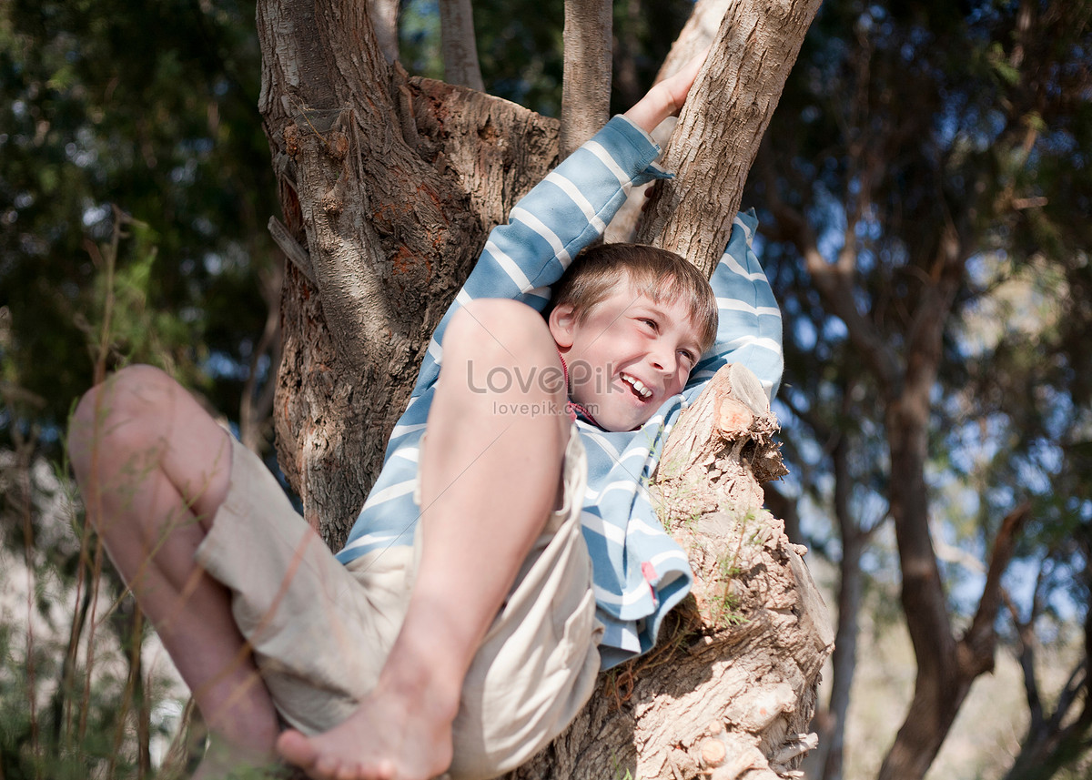 Boy 810 Climbing Tree And Laughing Picture And HD Photos | Free ...