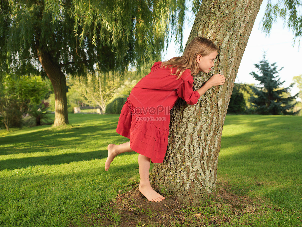 girl hiding behind tree clipart