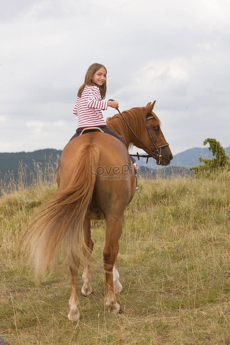 Человек и лошадь изображение_Фото номер 501515562_JPG Формат  изображения_ru.lovepik.com