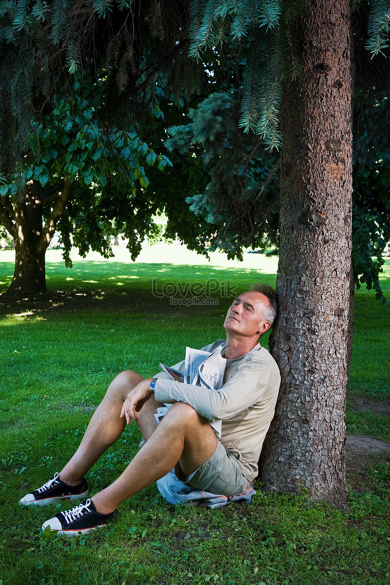 Man Sleeping Under The Tree Picture And HD Photos | Free Download On ...