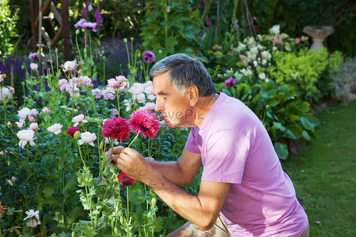 Old Man Smelling Flowers Picture And HD Photos | Free Download On Lovepik