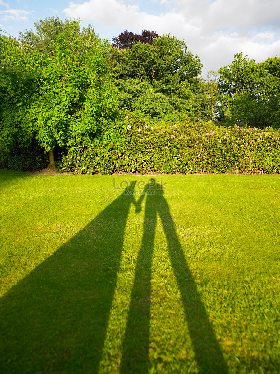 Sombra De Pareja Cogidos De La Mano Foto Descarga Gratuita Hd Imagen