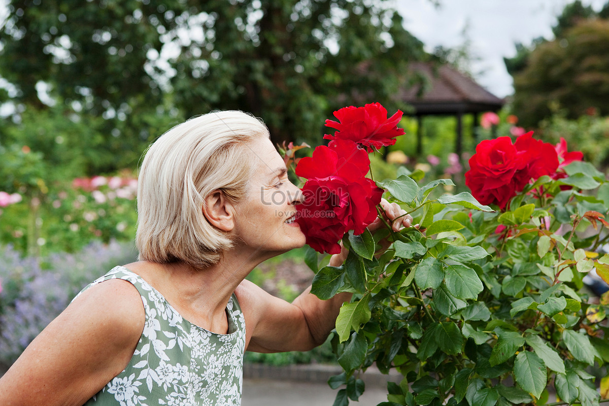 Пах женщины после 60 лет. Мудрая женщина серьезная с розами фото. Дама с розой вектор.