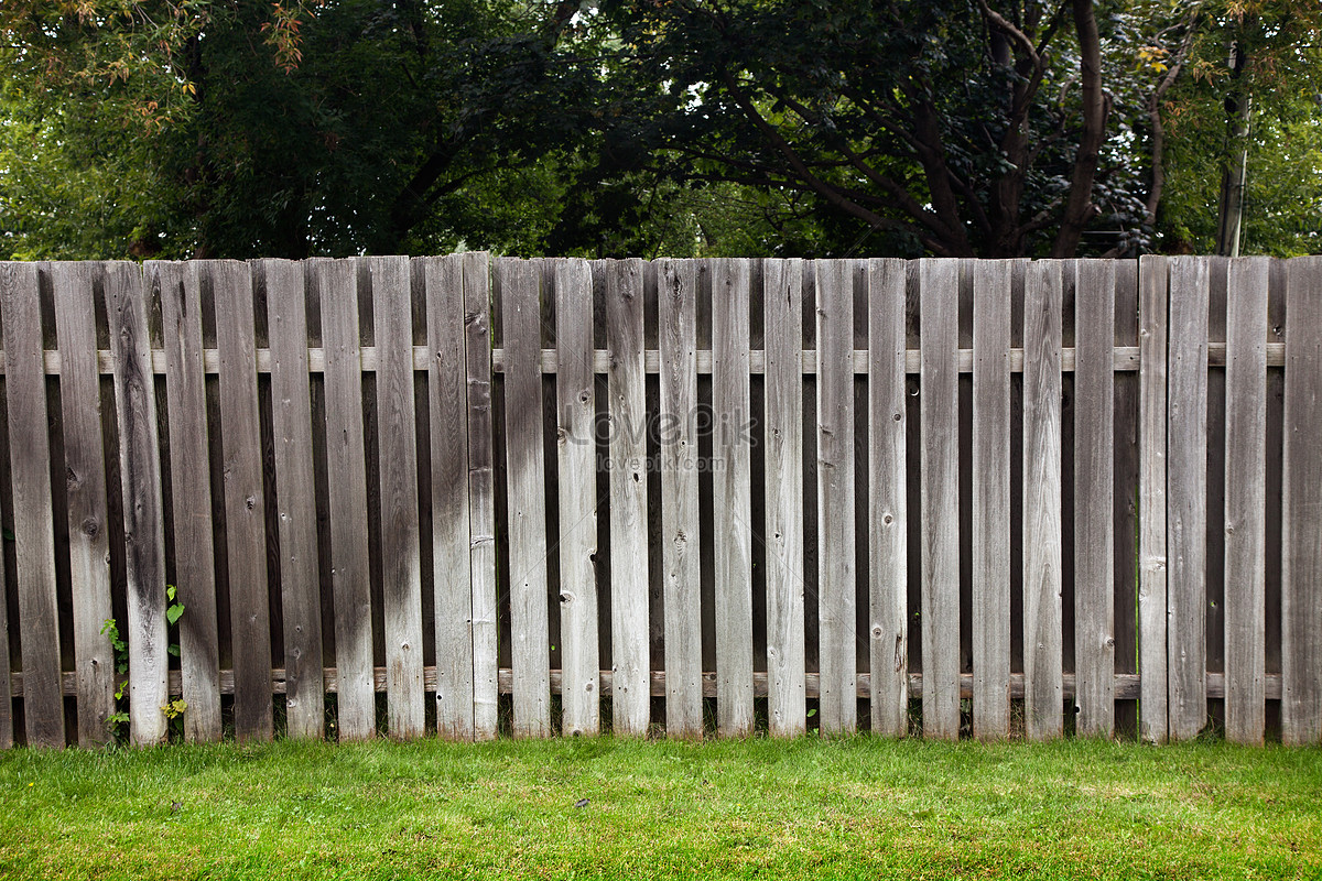 высокий деревянный забор раст фото 73