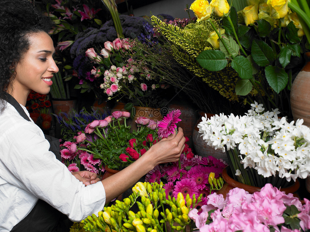 Choosing Flower.