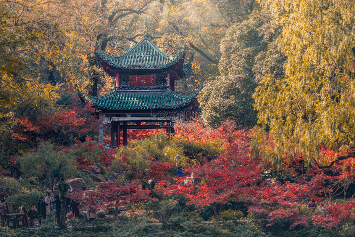 Autumn Scenery Of Love Evening Pavilion At Yuelu Mountain In Cha