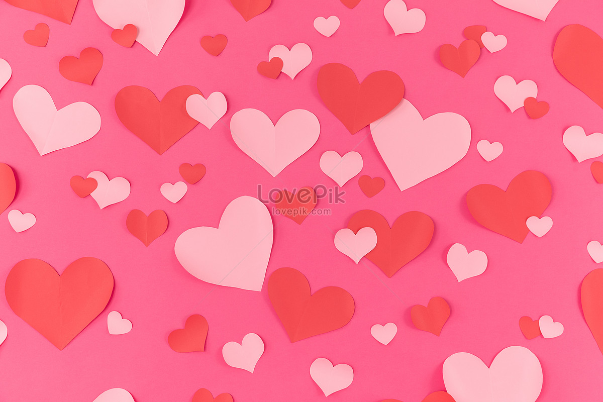 Hearty Pink Background Picture And HD Photos | Free Download On ...