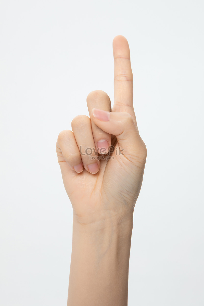 Number 1 Sign Language Picture And HD Photos | Free Download On Lovepik