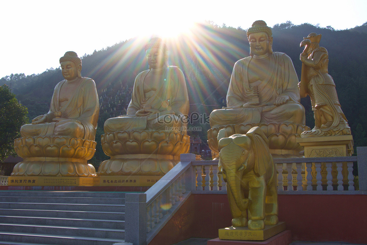 Буда видео. Будда свет. Буддийские освещения погода.