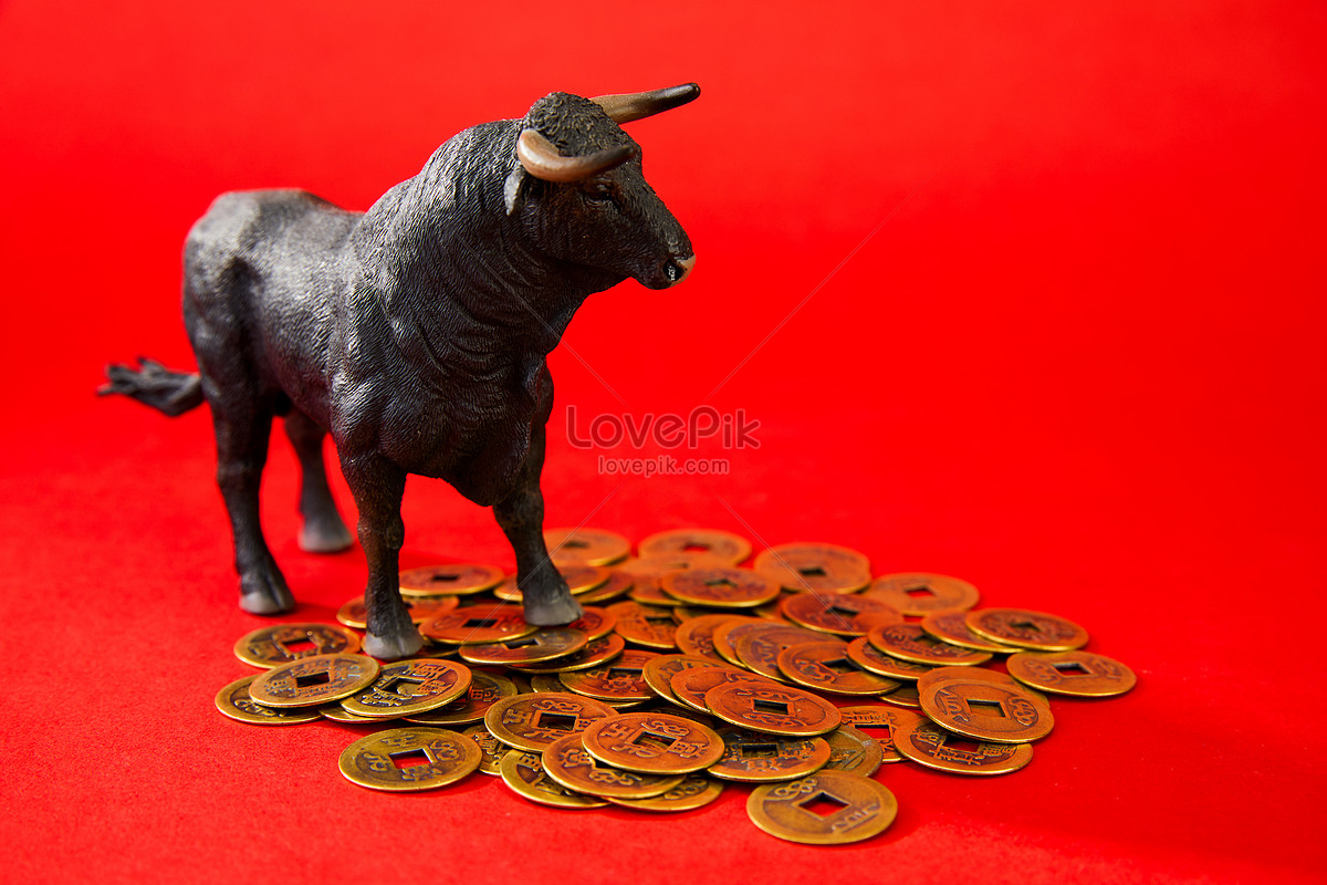 2021 Bull Market Picture And HD Photos | Free Download On Lovepik