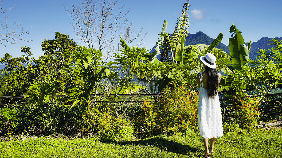 lovepik back view of traveling girl in kinabalu national picture 501616432