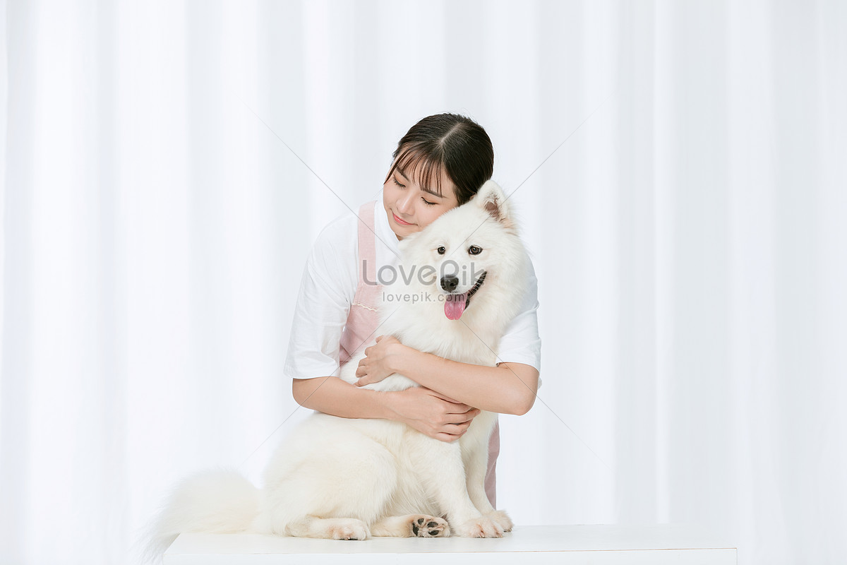 Samoyed hug best sale