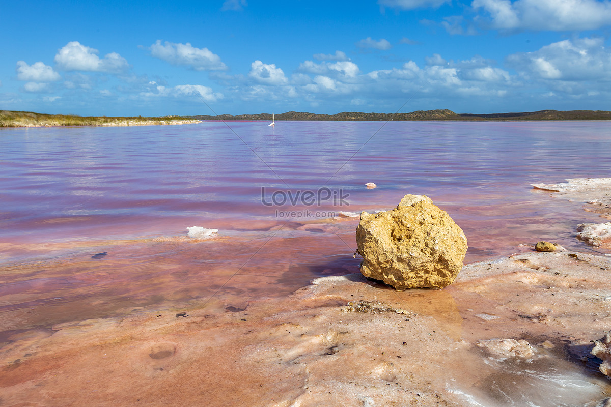 ảnh Phong Cảnh Tuyệt đẹp Của Hồ Pink Perth Australia Tải Xuống ...