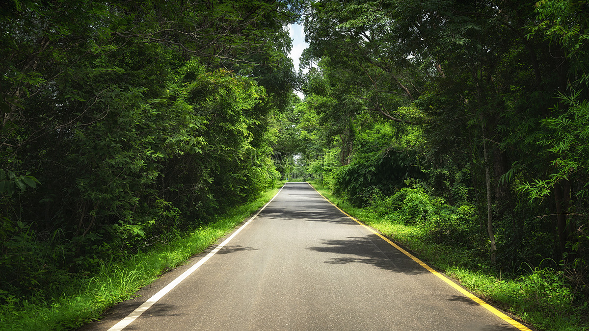 Forest Road Highway Picture And HD Photos | Free Download On Lovepik