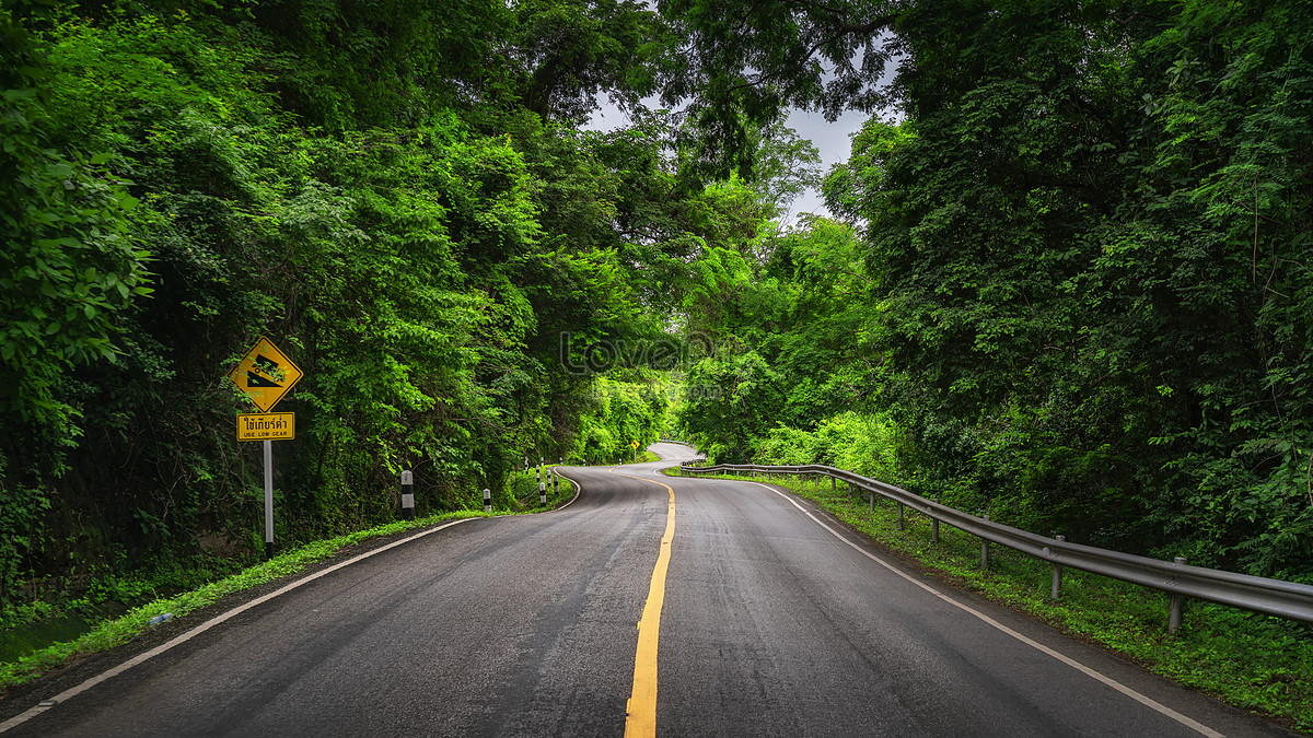Forest Road Highway Picture And HD Photos | Free Download On Lovepik
