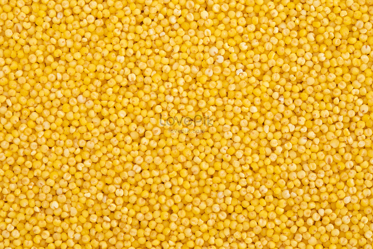 Grain Millet Close-up Picture And HD Photos | Free Download On Lovepik