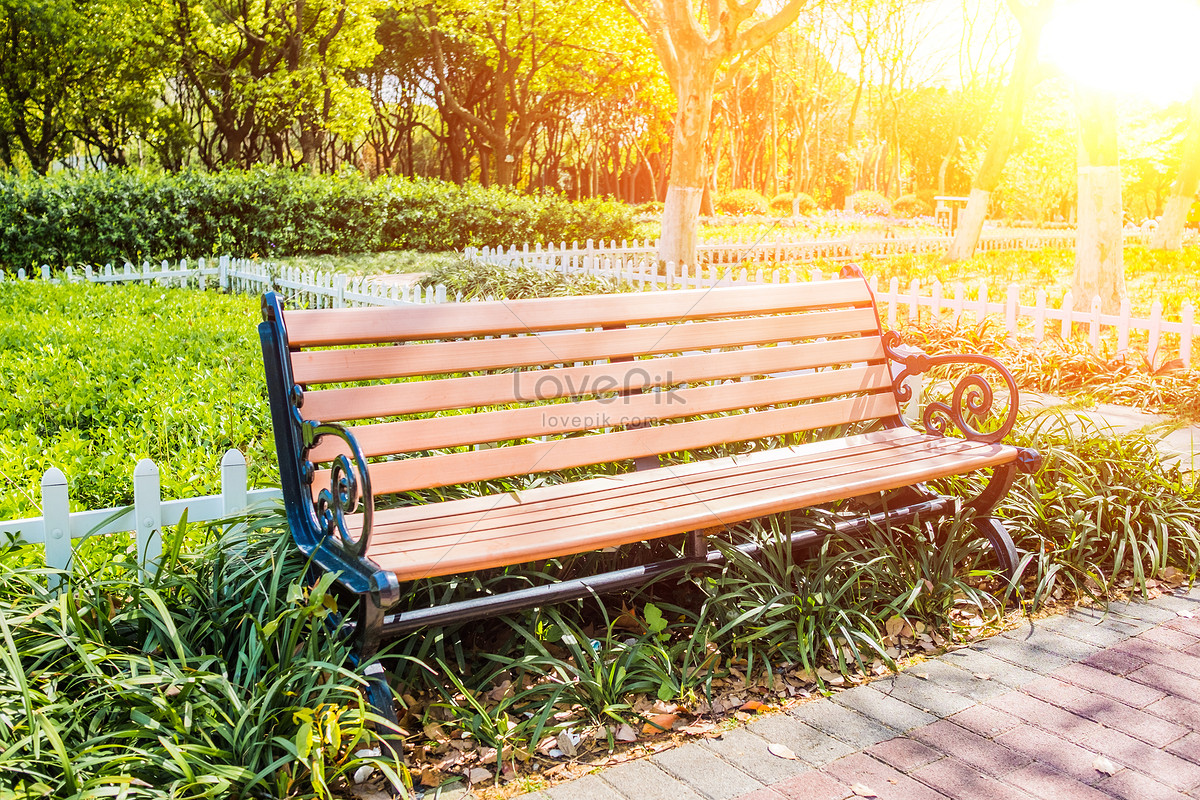 Park Bench In The Afternoon Picture And HD Photos | Free Download On Lovepik