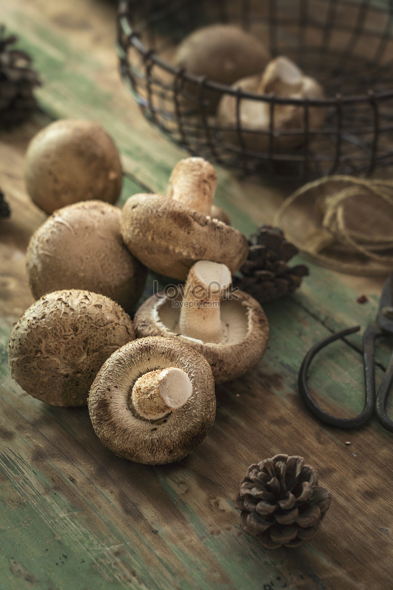 Shiitake Picture And HD Photos | Free Download On Lovepik