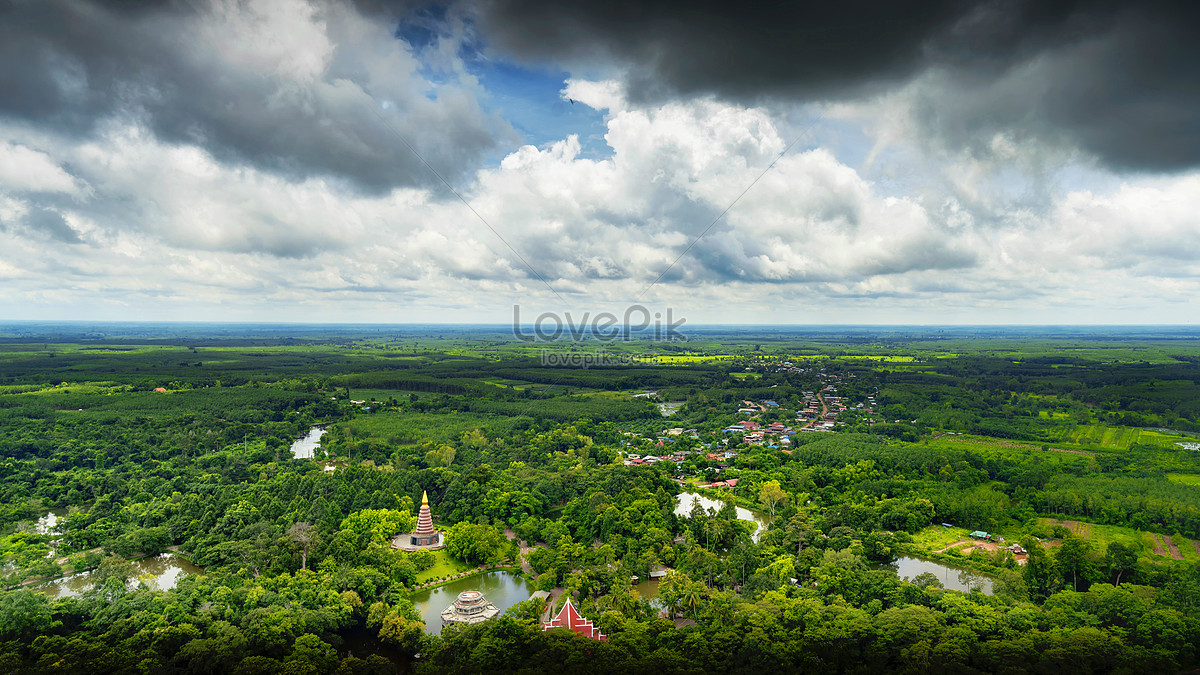 Summer Season  Rainforest pictures, Jungle images, Green landscape