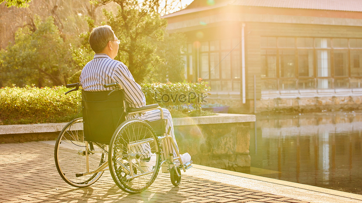 back-view-of-a-lonely-old-man-in-a-wheelchair-picture-and-hd-photos