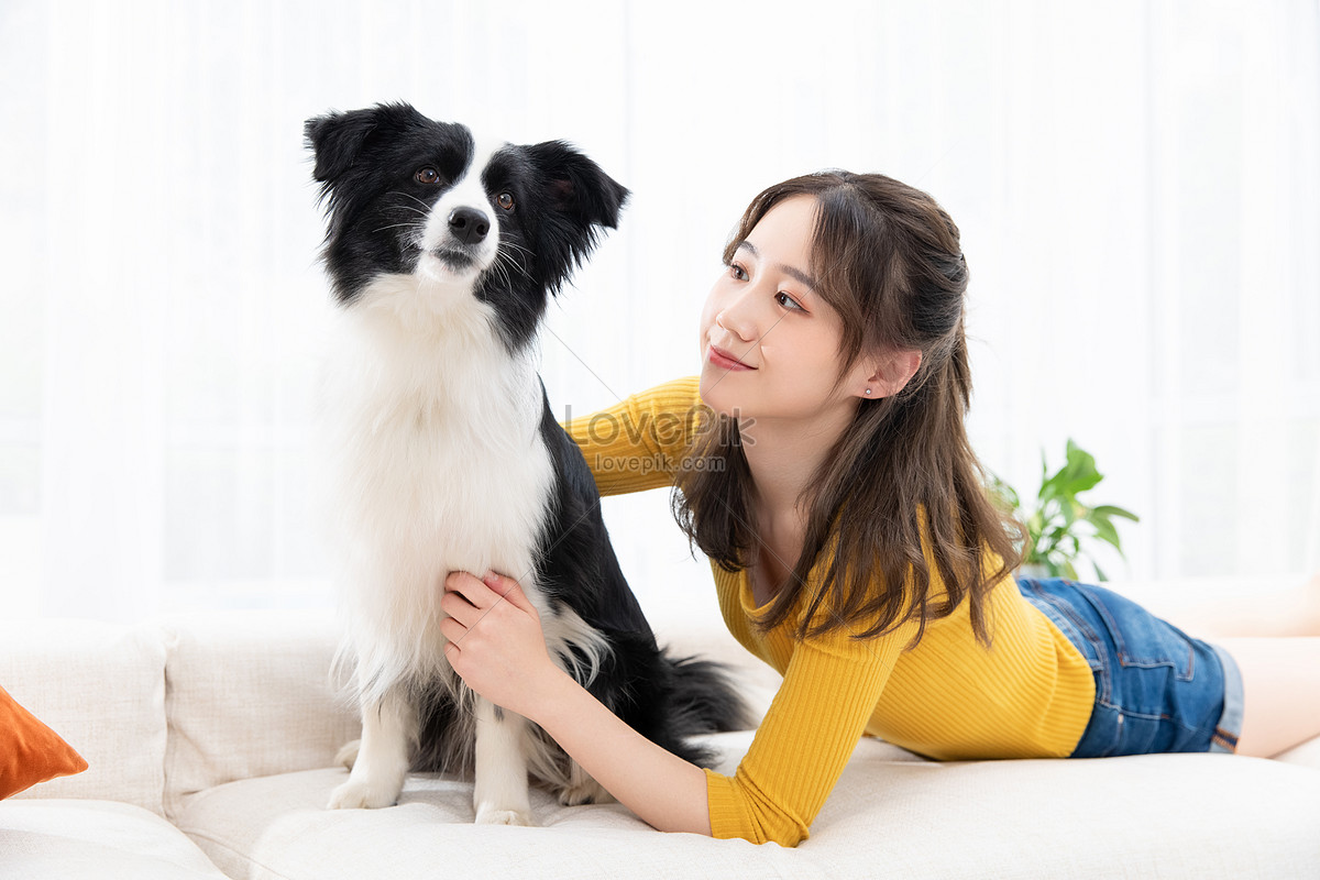 Beauty Home Life Pet Dog Companionship Picture And HD Photos  Free Download On Lovepik