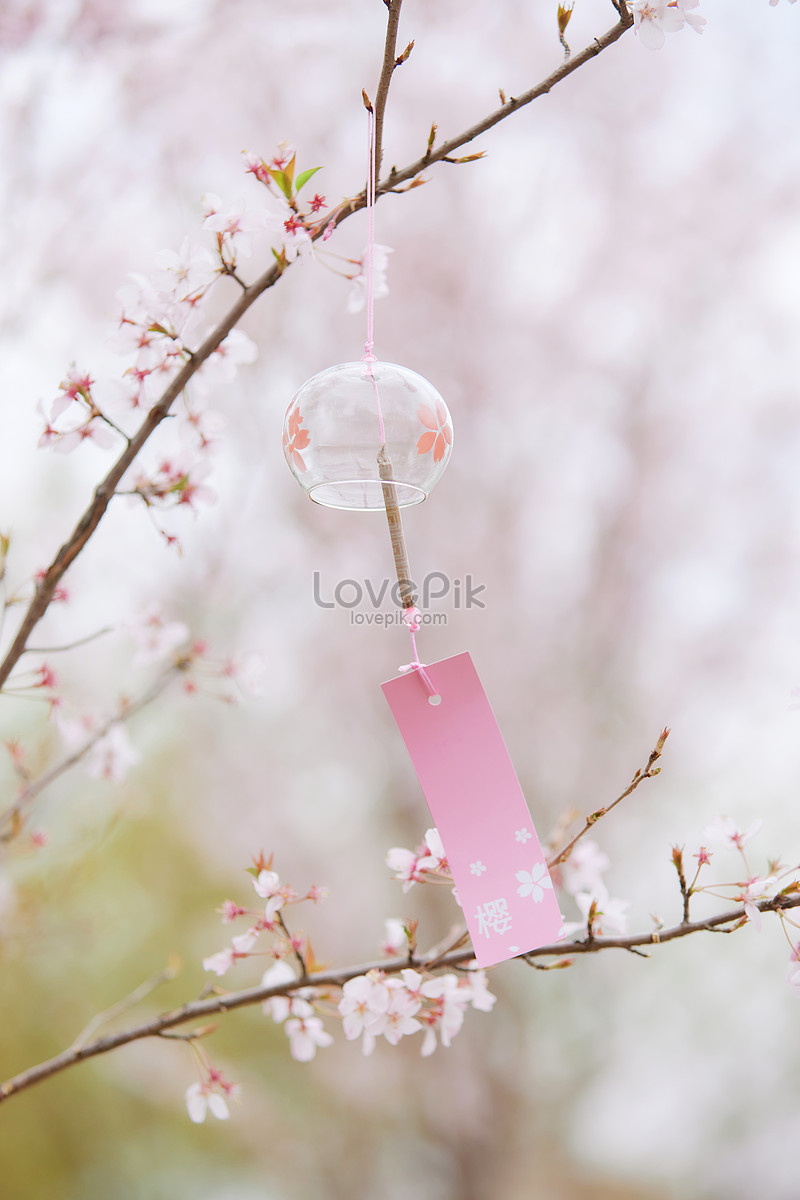 桜の木が風鈴をぶら下げ 写真素材フリー、ピンク, 大理石, 壁紙 画像無料ダウンロード - Lovepik