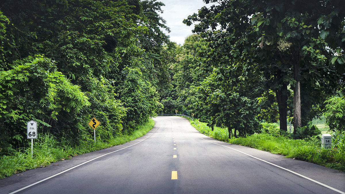 Forest travel road highway, country road, road greening, horizon HD Photo