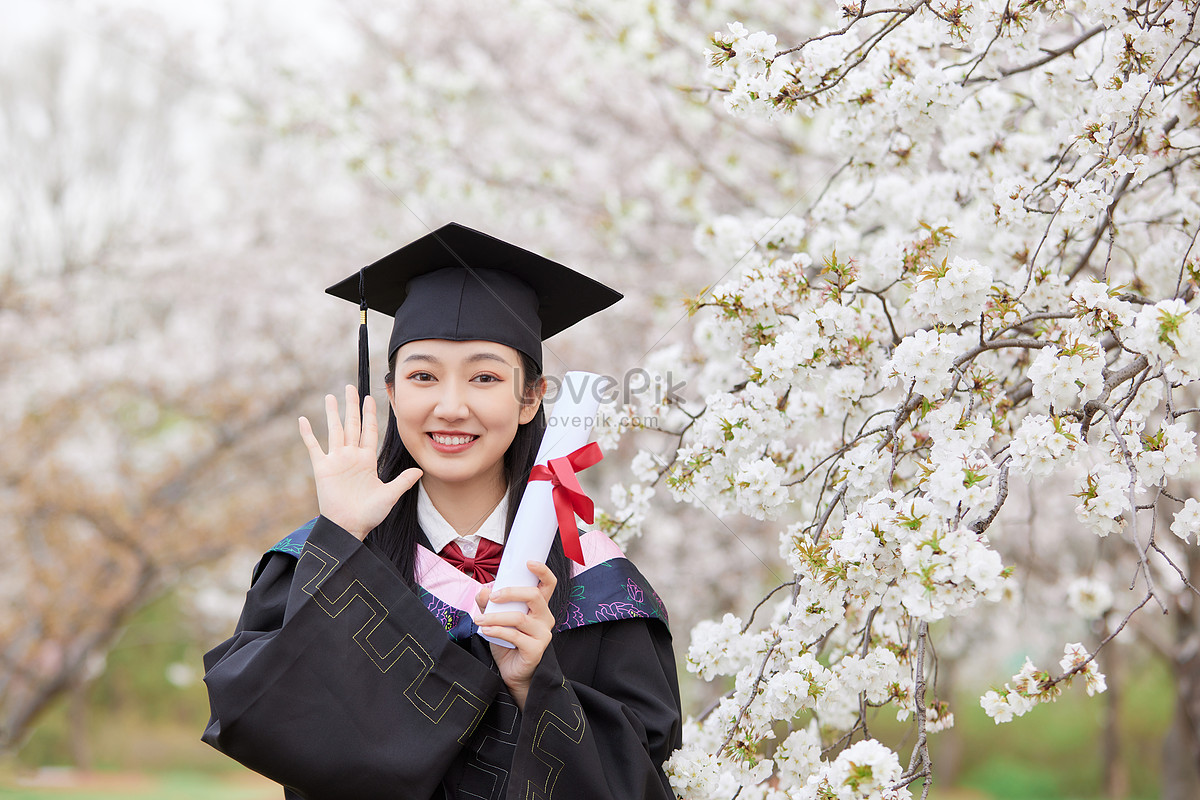 Graduation Season Cherry Blossom Pure Cute Girl Picture And HD Photos ...