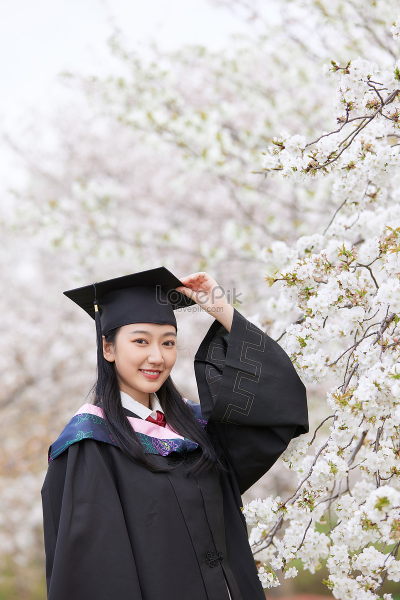 Graduation Season Cherry Blossom Pure Cute Girl Picture And HD Photos ...