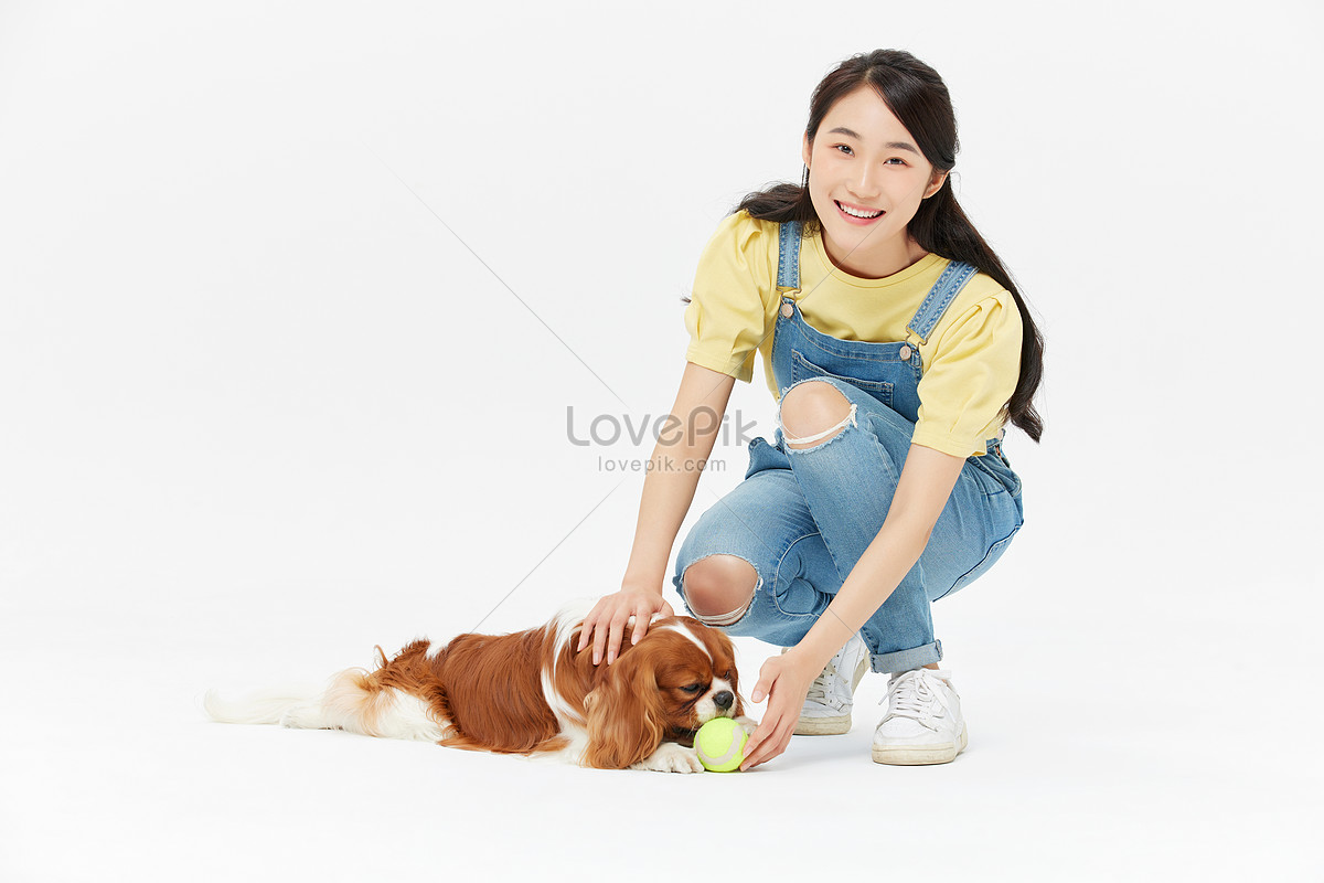 Love Pet Beauty And Cute Pet Game Picture And HD Photos | Free Download On  Lovepik